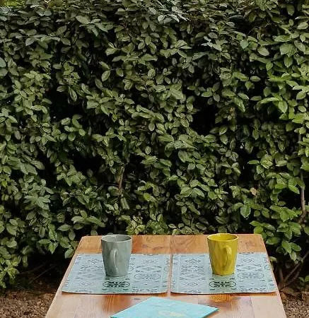 Les Terrasses D'alistro * San-Giuliano